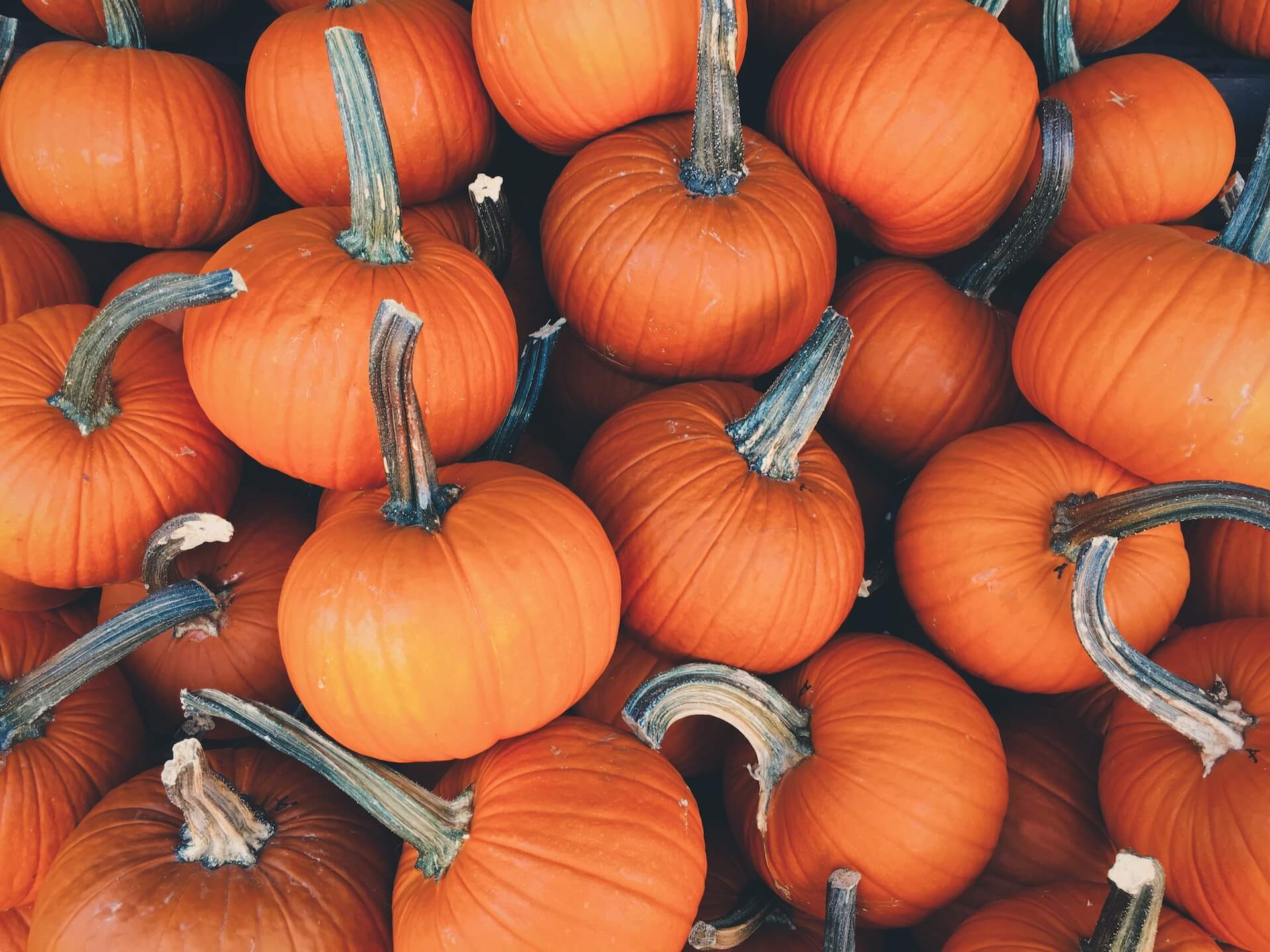 a close up view of a bunch of small yellow and orange pumpkins